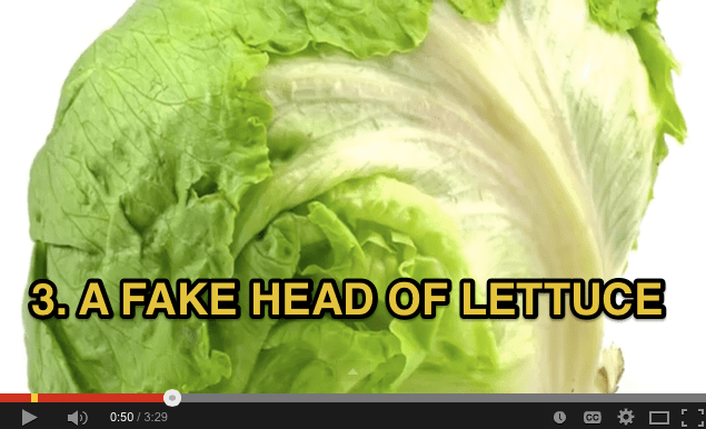 10_Hiding_Places_To_Store_Your_Valuables_-_FAKE_HEAD_OF_LETTUCE
