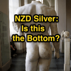 Silver Bottom