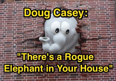 Doug_Casey__“There_Is_a_Rogue_Elephant_in_Your_House”