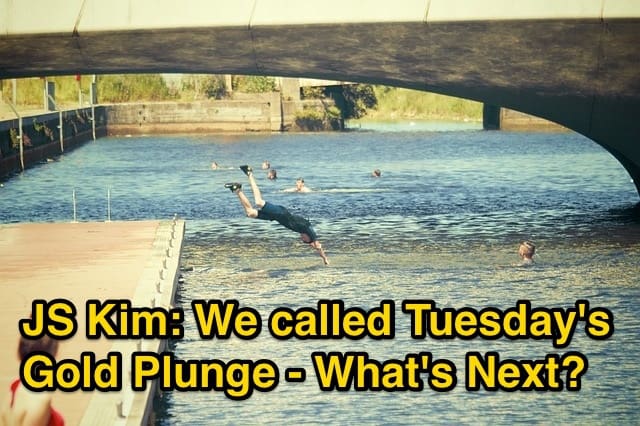 We_called_Tuesday_s___Gold_Plunge_-_What_s_Next_