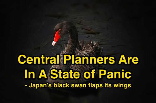 - Japan’s black swan flaps its wings