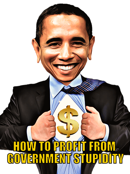 HOW TO PROFIT FROM GOVERNMENT STUIDITY