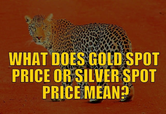 WHAT DOES GOLD SPOT PRICE OR SILVER SPOT PRICE MEAN?