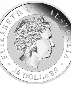 2018 Australian Kookaburra Silver Coin 1kg Perth Mint - Back View