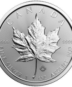 Royal Canadian Mint 2020 Silver Maple Leaf Coin 1 oz - reverse