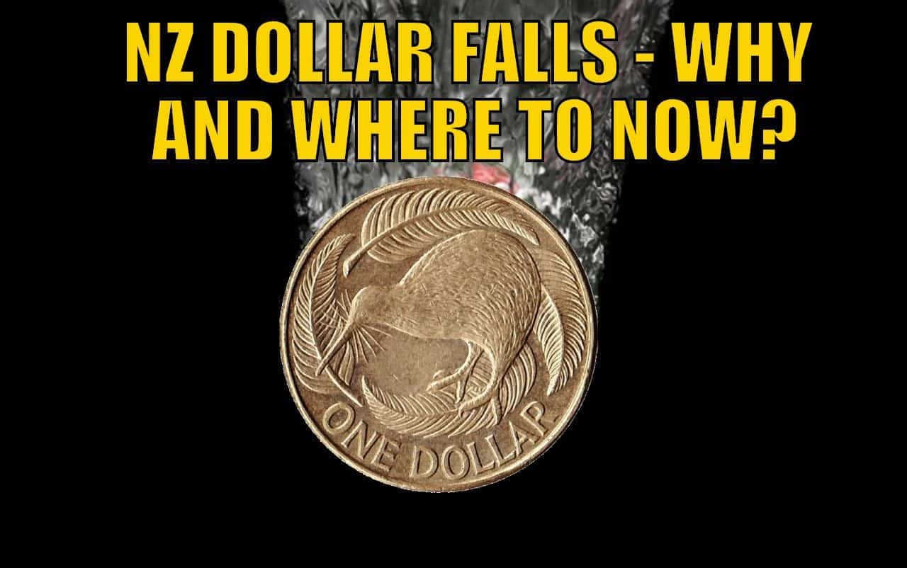 NZ Dollar Falls - Why has the NZ Dollar Weakened and Where to Now?