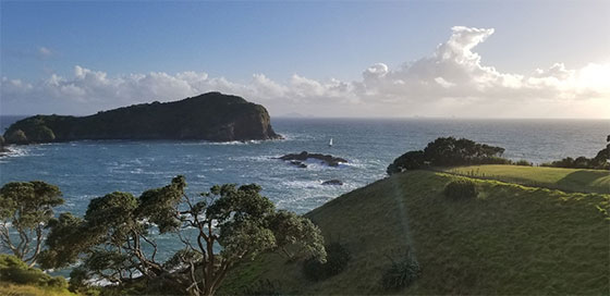view from above the harbor at Tutukaka