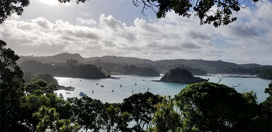 view from above the harbor at Tutukaka