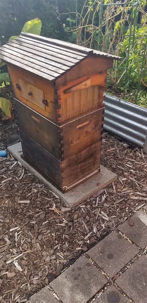 Honey Keg - A castle for a queen bee

