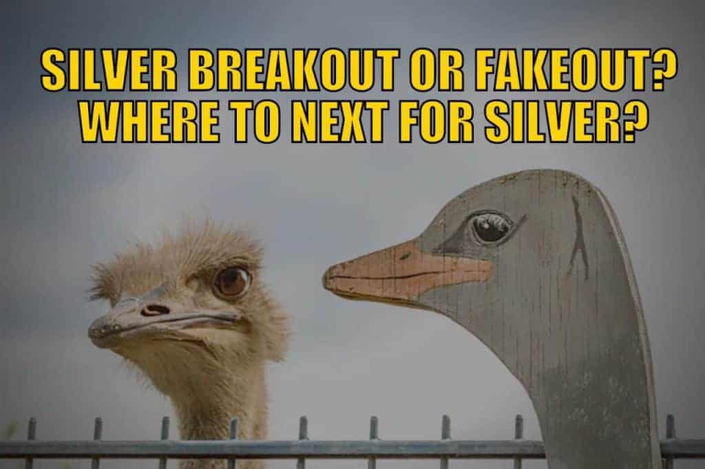 Silver Breakout or Silver Fakeout? - Where to Next for Silver in 2024?