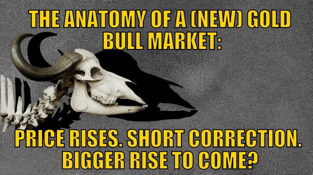 The Anatomy of a (New) Gold Bull Market: Prices Rises. Short Correction. Bigger Rise to Come?