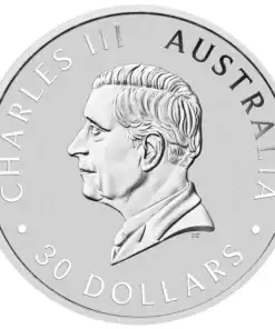 1kg Perth Mint Silver Kookaburra Coin – Backdated / Previous Issue - Image 6